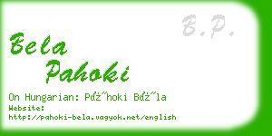 bela pahoki business card